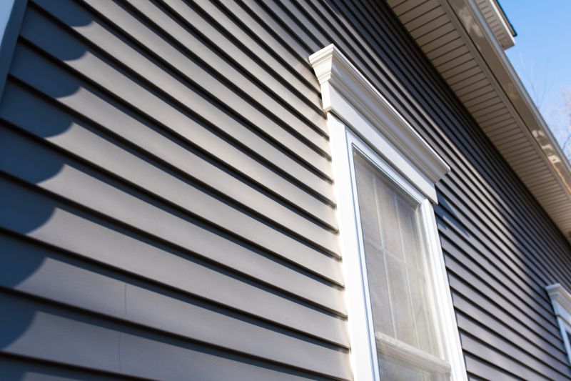Durable Siding Material Close-up